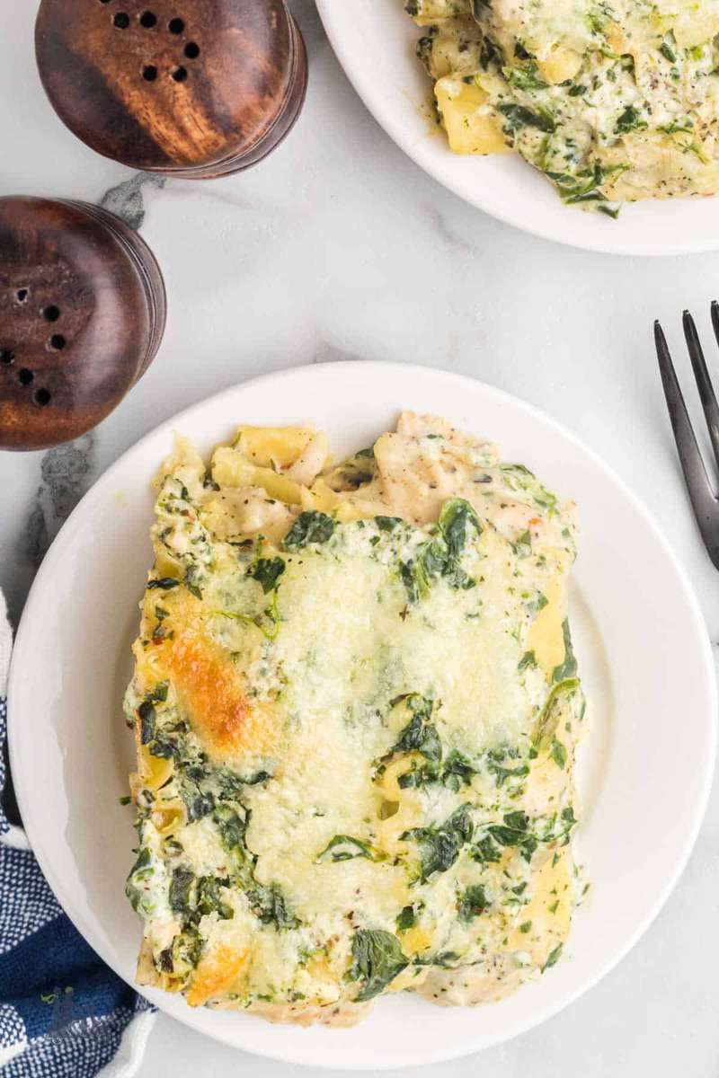 Silky alfredo sauce, tender chicken, and mozzarella coat layered pasta in a white lasagna.